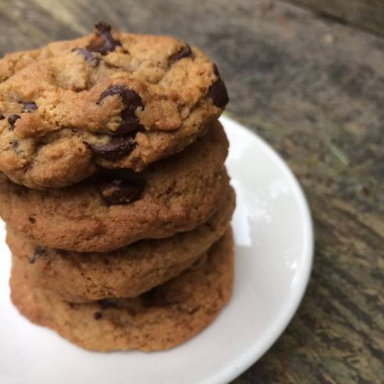 28168839_856499214531679_377264176965548392_n